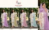 R 1246 By Shree Organza Embroidery Pakistani Readymade Suits Wholesale Clothing Distributors In India
